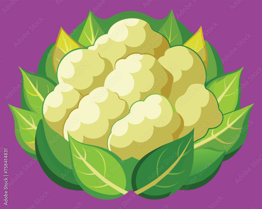 Sticker Cauliflower vector icon illustration on white background