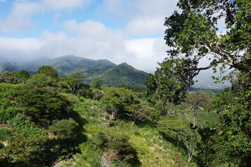 Fototapeta premium Berglandschaft mit Kaffeeplantagen in Boquete in Panama