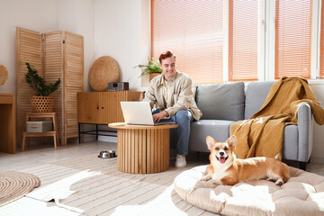 Redhead young happy man with laptop and cute Corgi dog at home