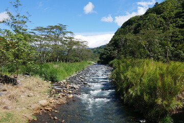 Bergfluss Rio Caldera in Bajo Boquete