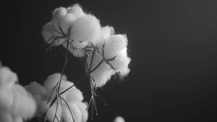 Clouds of Cotton: A Surreal Close-Up in Monochrome