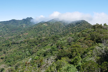 Fototapeta premium Berge mit Wolken bei Boquete in Panama