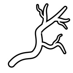 dry tree branches doodle