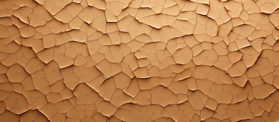 A closeup of a cracked brown surface with a textured pattern resembling geology or soil, showcasing...