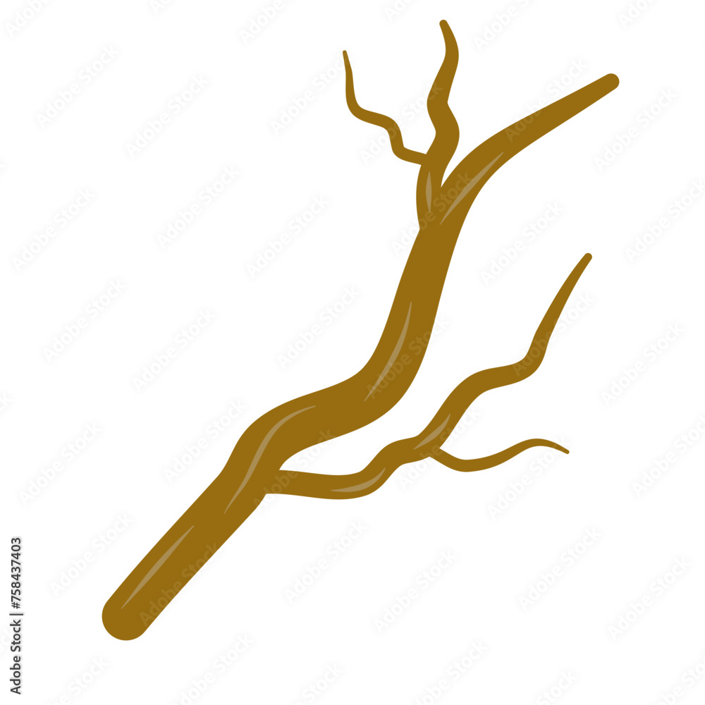 Canvas Prints brown dry tree branches vector