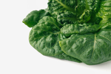 Fototapeta premium Lettuce leaves isolated on white background