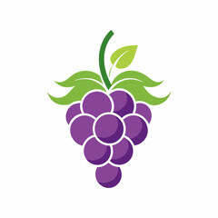 Minimalistic Style Stylized Grapes Logo