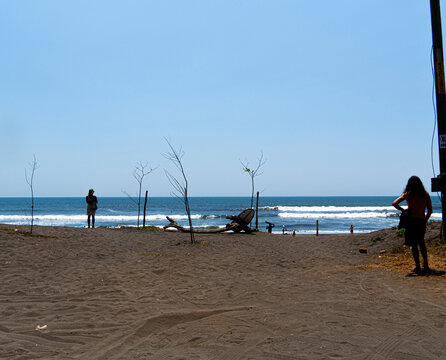 Personas en camino a la playa para surfear