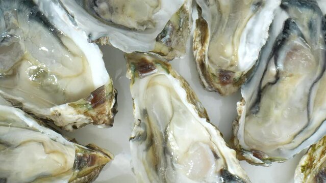 Oysters hold a revered position in seafood, prized for flavor, texture, and cultural importance. Whether raw or cooked, they captivate palates and inspire culinary creativity worldwide.
