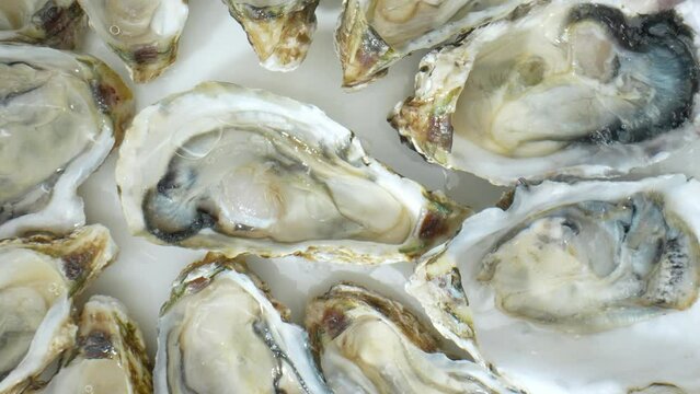 Oysters associated with aphrodisiac qualities due to sensual texture and high zinc content, believed to enhance libido and fertility. This romantic allure adds to their appeal as a indulgence.