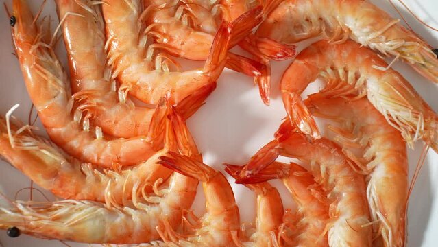 The shell adds a protective layer that helps preserve the moisture within the shrimp, preventing them from becoming mushy or overly soft during the freezing process. Shrimp background. 4K HDR.
