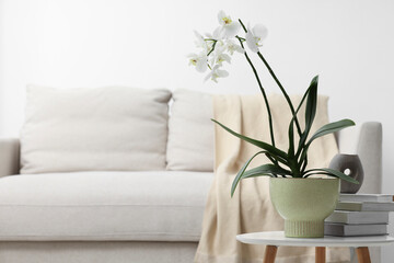 Blooming white orchid flower in pot, books and candle on side table at home, space for text