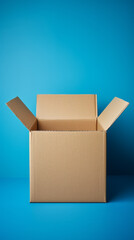 Open Cardboard Box on Blue Background

