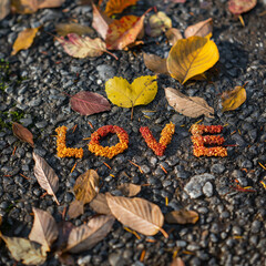 Leaves on the ground forming the word Love