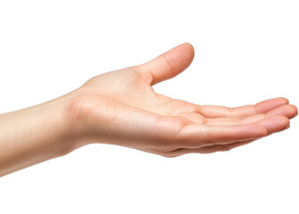 Open human hand with palm up isolated on transparent