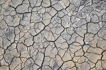 dry and cracked soil structures during the El Nino dry season due to the global warming process or wet soil due to puddles of water during the natural drying process by the sun - obrazy, fototapety, plakaty