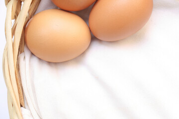 egg