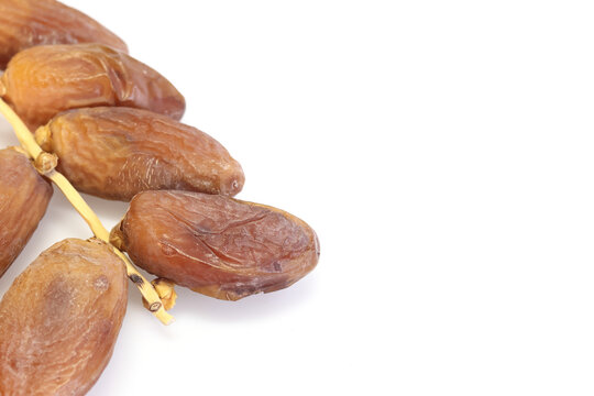 Date Palm