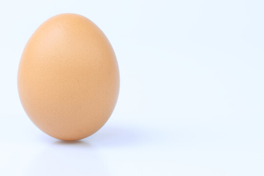 egg