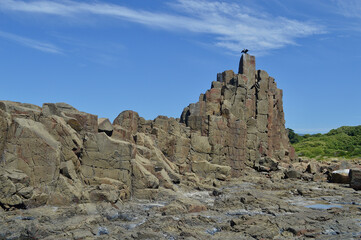Fototapeta na wymiar Unusual rock formations at Bombo on the South Coast of New South Wales, Australia.