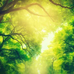 Poster Beautiful leafy tree canopy on a sunny summer's day © ROKA Creative