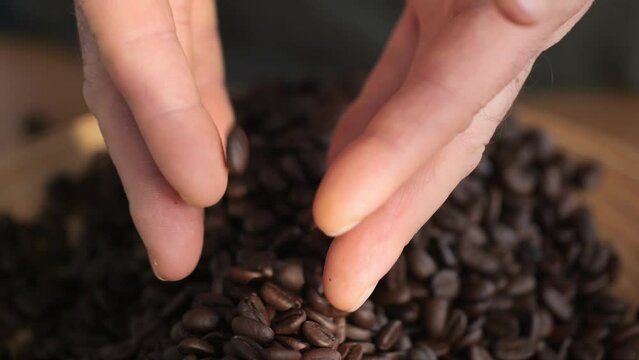 Roasted brown grains falling down on pile arabica super slow motion.Closeup full hands of fragrant coffee beans pouring on heap fresh harvest. 4K