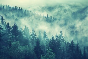 Misty landscape forest background. Nature morning landscape.