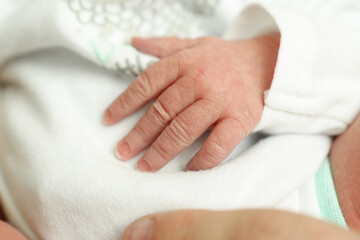 Newborn baby hand and fingers
