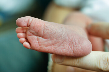 View of newborn baby foot
