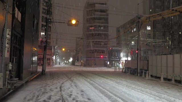 東京　大雪　夜景　住宅地　2024年