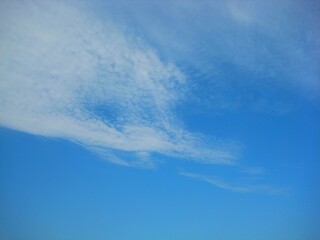 Blue sky with fluffy white clouds line
