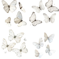 Collection of magical butterflies on transparent background