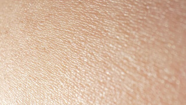 Macro video reveals intricate skin texture details, unseen by naked eye. Every pore, crease, imperfection magnified, unveiling human epidermis. Cleansing and Organic skincare concept. Skin background.