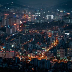 Fototapeta premium city skyline at night