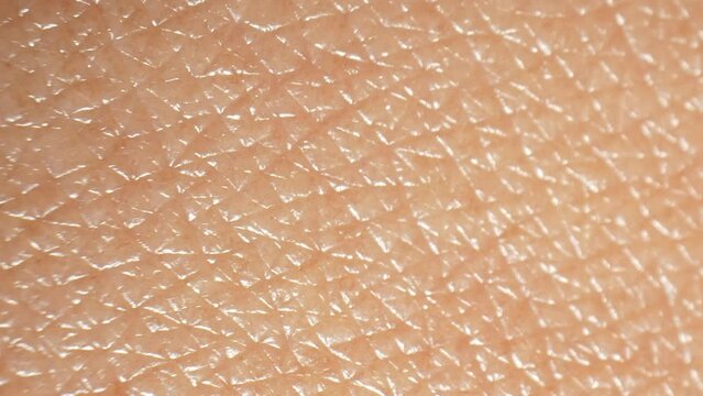 Smooth skin texture is characterized by an even surface free of bumps, rough patches, or irregularities. It reflects light evenly, giving the skin a radiant and youthful appearance. Skin background.
