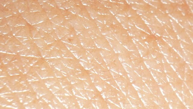 Texture can be influenced by fine lines, wrinkles, pores, and blemishes. Collagen, elastin, and skin cell turnover rate are key factors shaping skin texture and appearance. Hyaluronic acid concept. 
