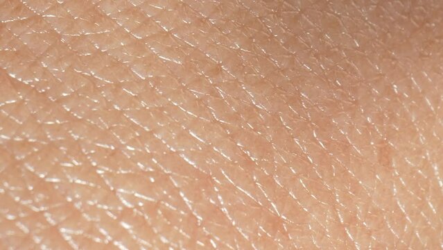 Close-up exploration invites viewers to marvel at skin's intricacies, fostering newfound appreciation for this remarkable organ-our body's defender and canvas of experiences. Skin background. 4K.
