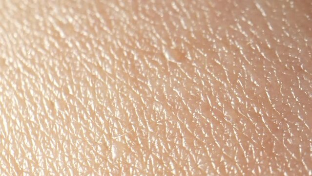 Camera seamlessly glides, drawing viewers deeper into skin texture world. Each frame reveals enchanting wonders. Moisturization and Skin barrier concept. Skin background. 4K HDR.
