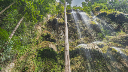A beautiful tropical waterfall. Bottom view. Thin streams of water fall like a veil from the  openwork mossy ledges of the rock. Green vegetation.  Tumalog Falls. Philippines. - obrazy, fototapety, plakaty
