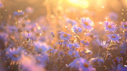 Sunrise Radiance Amidst Lavender and Blue Aster Field. Generative AI.
