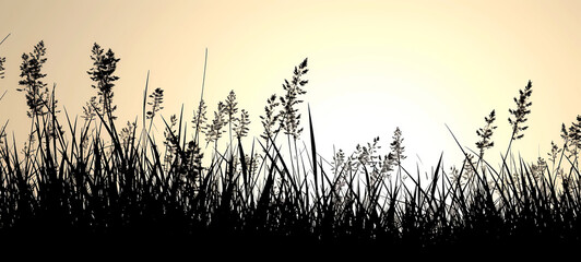 Abstract background with black silhouette of meadow wild herbs and reed on sunset. Wildflowers field. Summer backdrop.