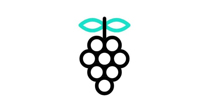illustration of a bunch of grapes icon animation video