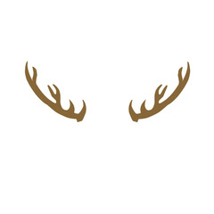Obraz premium Deer Antlers 