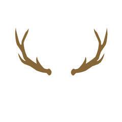 Deer Antlers 