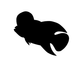 Louhan Fish Silhouette 