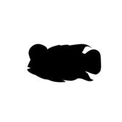 Louhan Fish Silhouette 