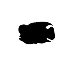 Louhan Fish Silhouette 