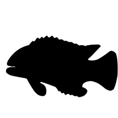 Tilapia Fish Silhouette 
