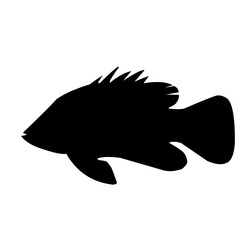 Tilapia Fish Silhouette 