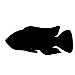 Tilapia Fish Silhouette 